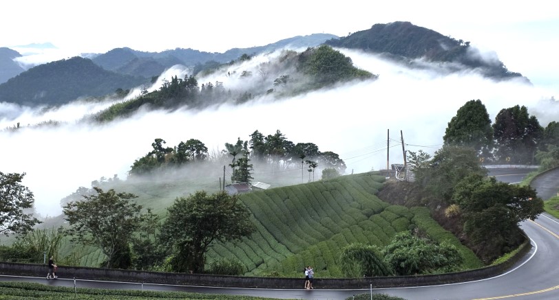 阿里山雲霧 觀光行銷價值鏈產生綜效