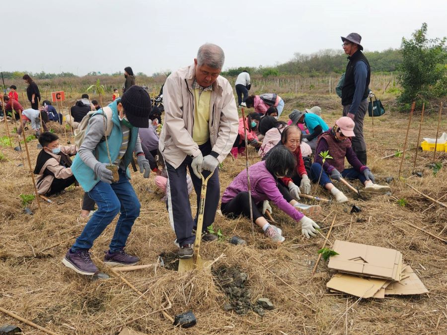 公私齊力推動茄萣濱海造林有成 生態復育展新機