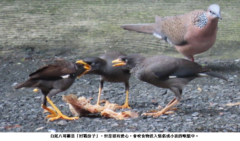 main news photo