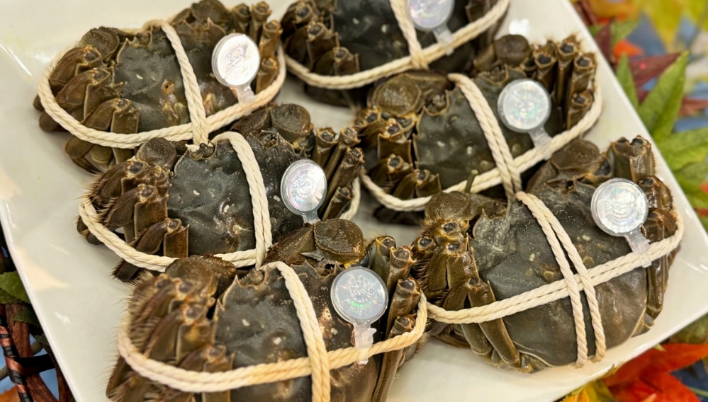 鍾東錦率團參訪上海深化交流 期獲更優質大閘蟹種苗