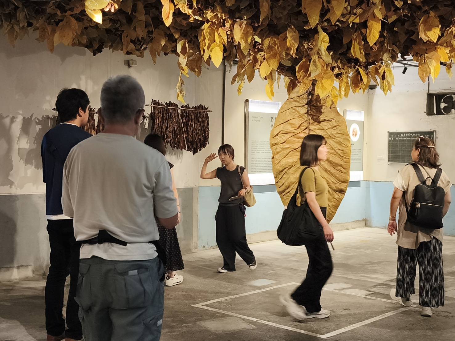 體驗「南國屏東」全新觀光魅力