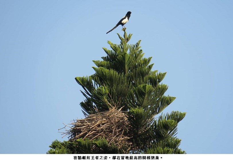 main news photo