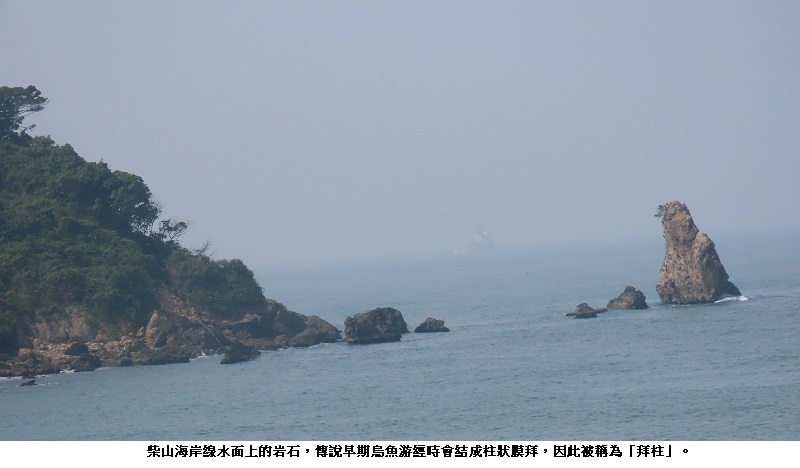 高雄市柴山海域「烏魚結柱」的百年傳說