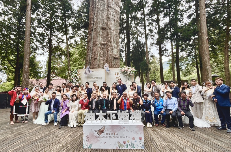 19年不變的浪漫 成為國際焦點 來自各國的15對新人阿里山神木下婚禮 未來可享免收門票搭乘森鐵火車