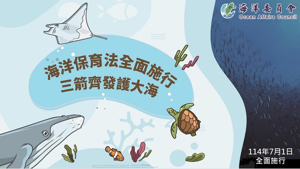 7/1「海洋保育法」全面施行 管碧玲:三箭齊發為海洋發聲 全面守護韌性藍海