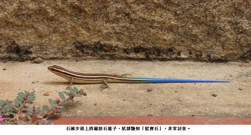main news photo