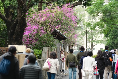 台南北區321巷藝術聚落7月1日起戶外午後開放
