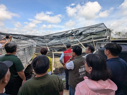 台南北門蘭花溫室風災全損農業部勘災將援助