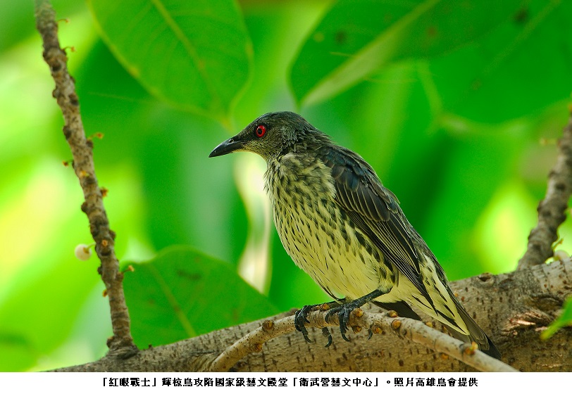 main news photo