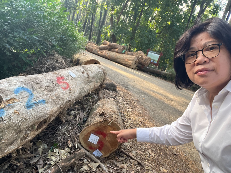 嘉義樹木園修復卡關 立委王美惠爭取經費到位 陳駿季部長下令加速辦理