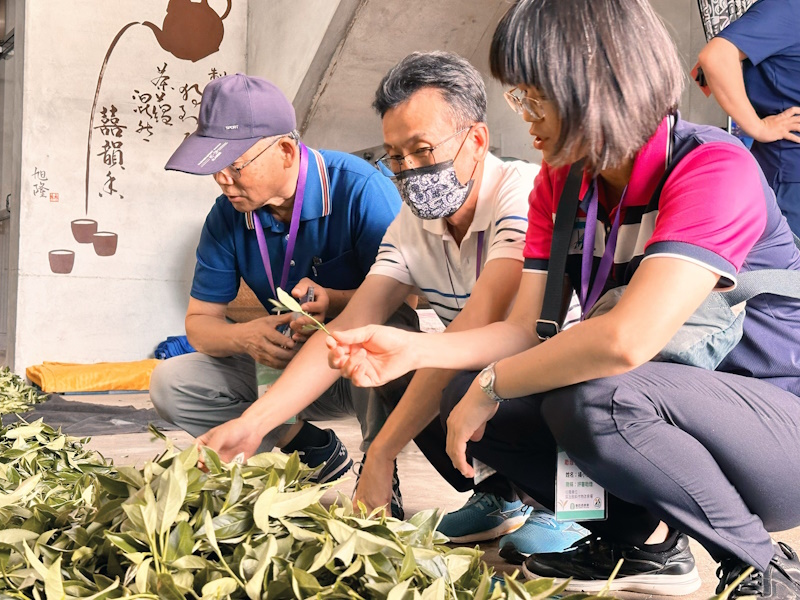 114年度嘉義縣大阿里山茶區清香烏龍茶(半球型包種茶)製茶技術競賽 隙頂茶區成夢想舞台