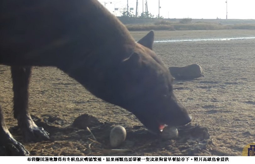 main news photo