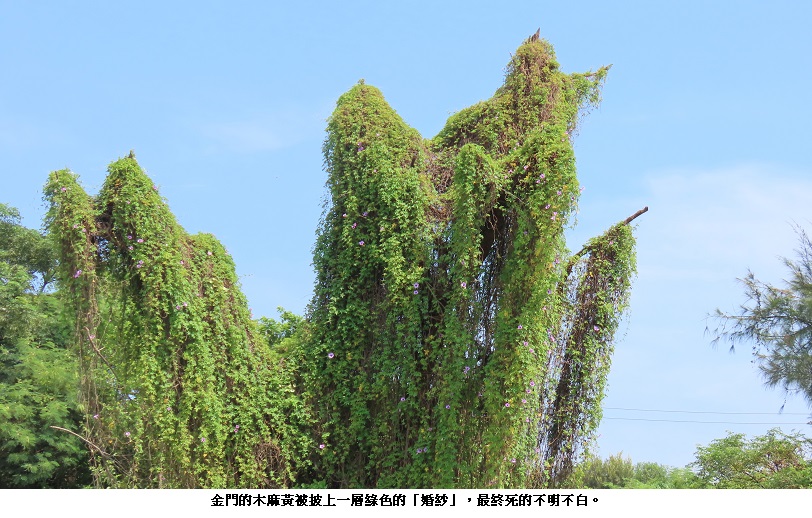 main news photo