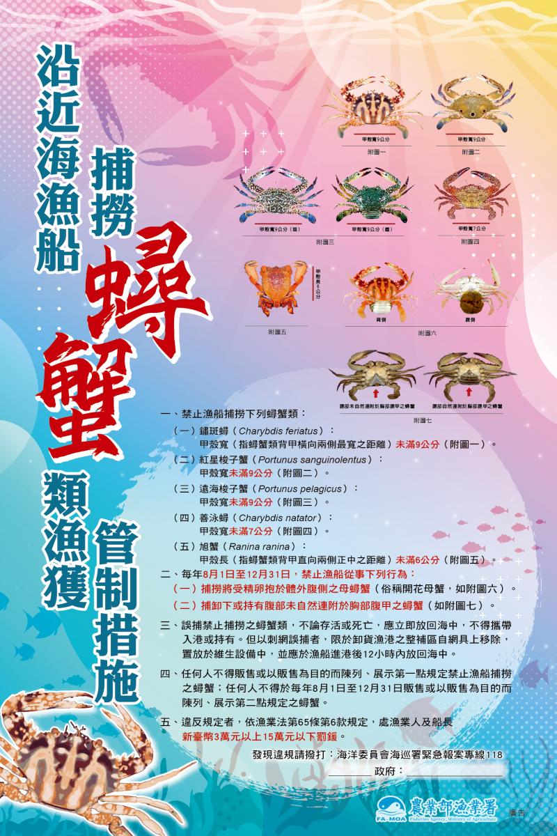 禁捕！禁售！禁拔卵！ 8月1日至12月31日 保護抱卵母蟹 一起守護你我的海洋