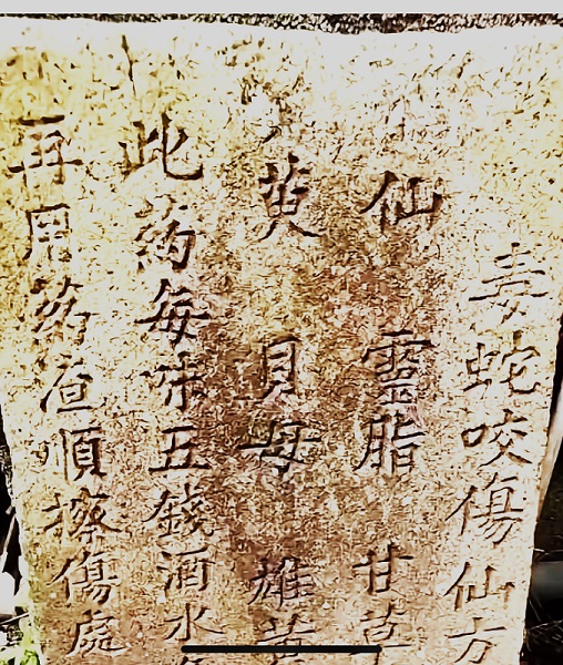 遭毒蛇咬傷 罕見藥方刻在石碑上