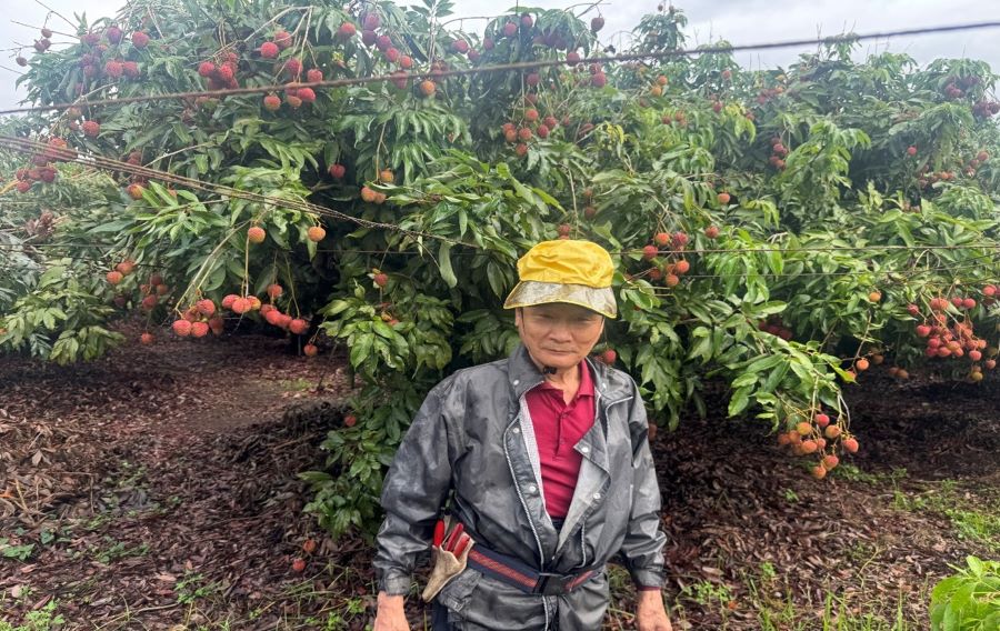 農民免驚 質譜快檢助攻提升產品競爭力