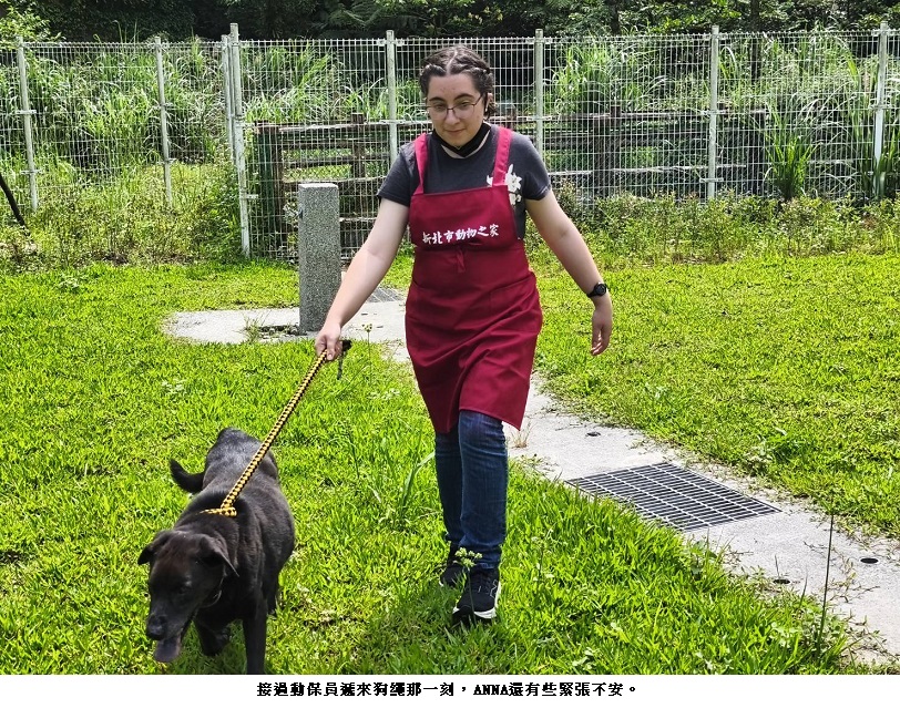 建築美學與動物關懷的溫馨交會 美女大學生訪瑞芳動物之家志工初體驗