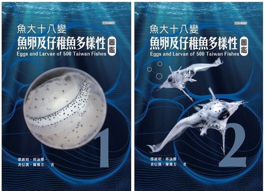 全球首套經DNA驗證的魚類早期生活史圖鑑 《魚大十八變-魚卵及仔稚魚多樣性圖鑑》
