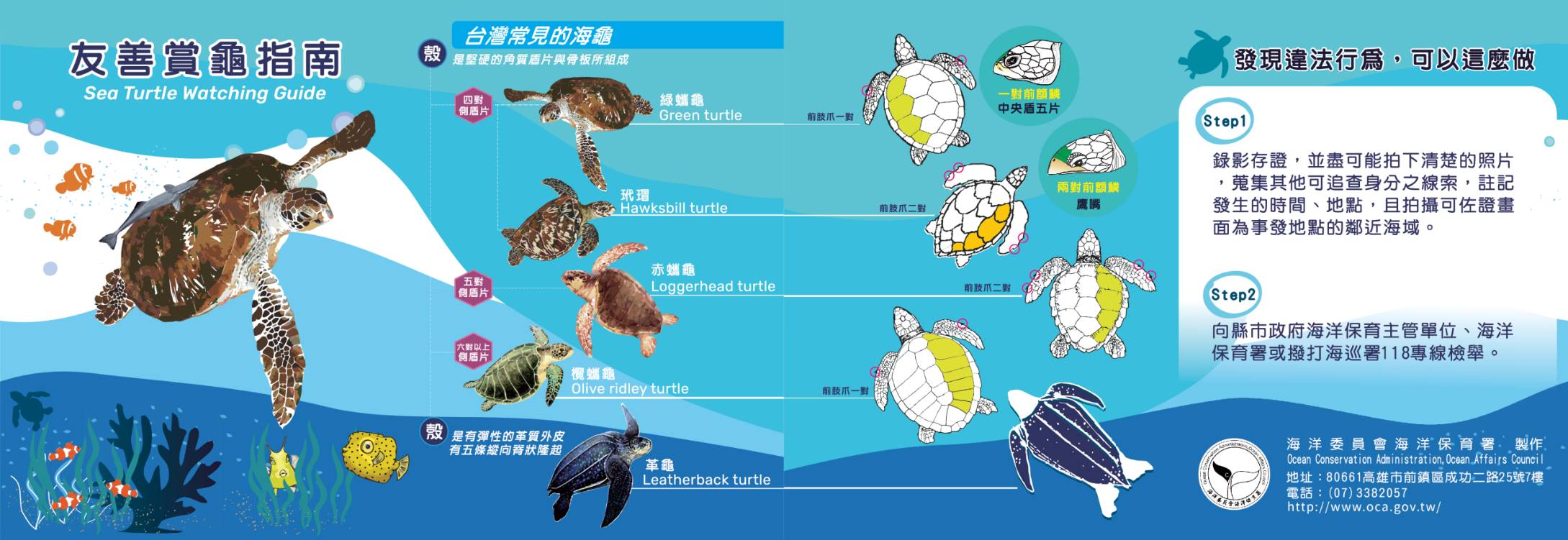 騷擾海洋保育類野生動物為違法行為 海保署呼籲：恪遵「5不原則」以免觸法受罰