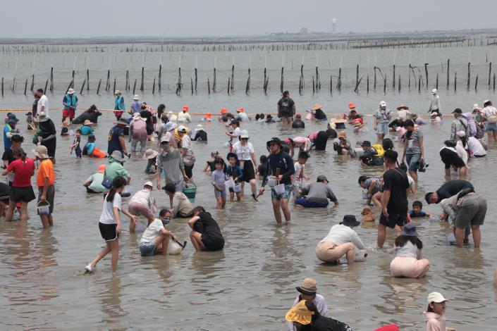 台南七股海鮮節熱鬧登場