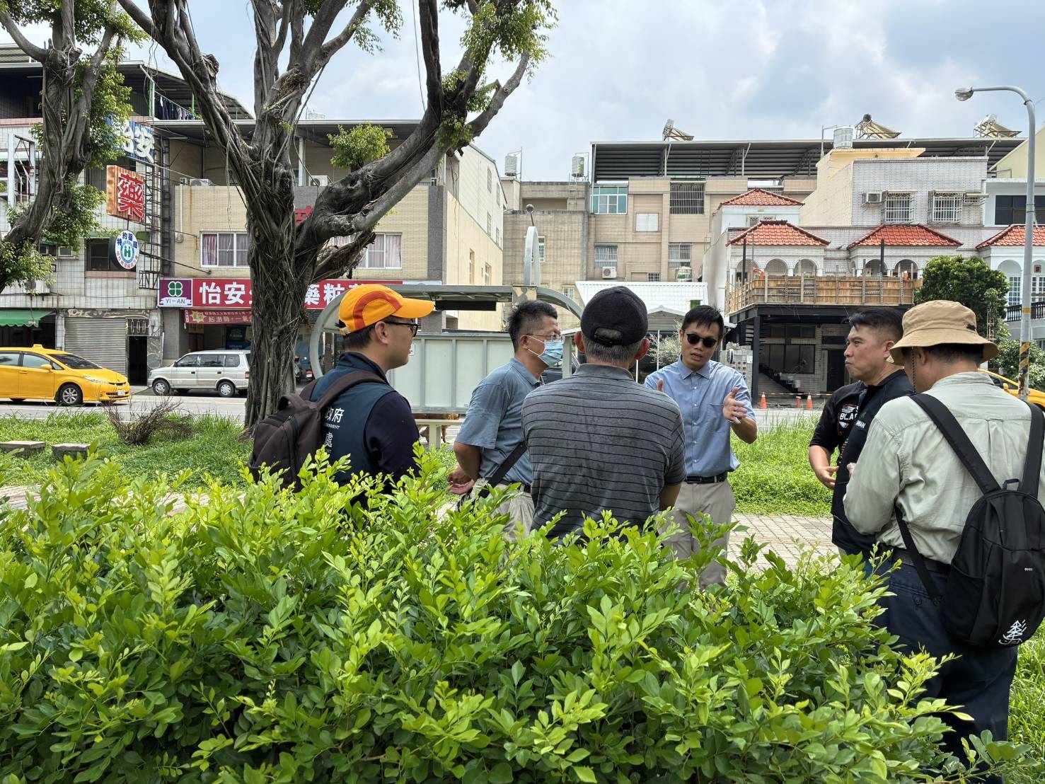 屏縣府積極協助為樹木健檢