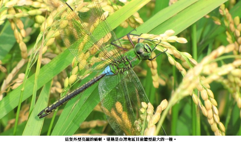 main news photo