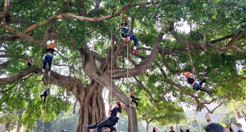 全台首創國小學童攀樹邀請賽　台中公園熱鬧登場