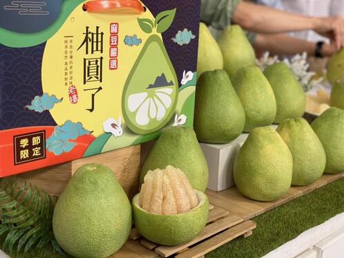 台南上購物平台直播叫賣文旦售光6百箱