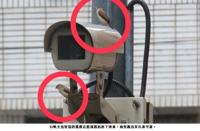 main news photo