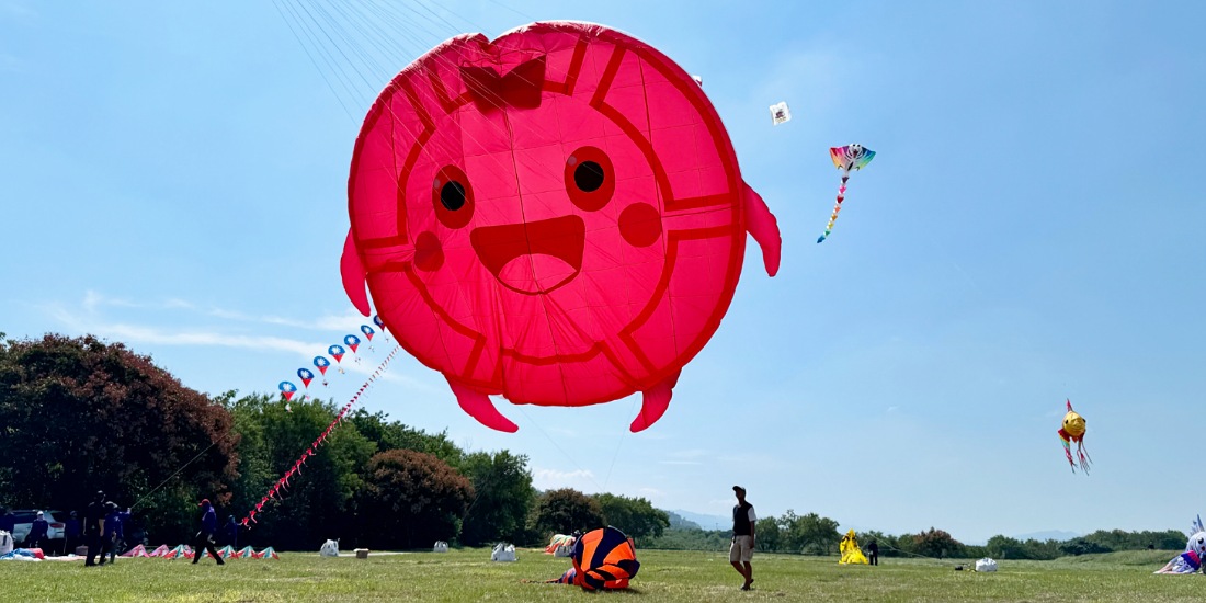 整合資源拚觀光       苗栗風箏節破10萬人潮