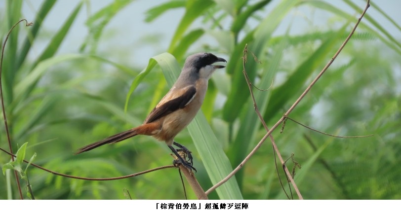 main news photo