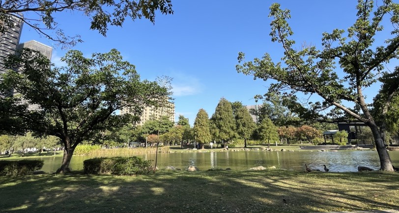 新年踏青到凹子底森林公園享受涼亭清趣