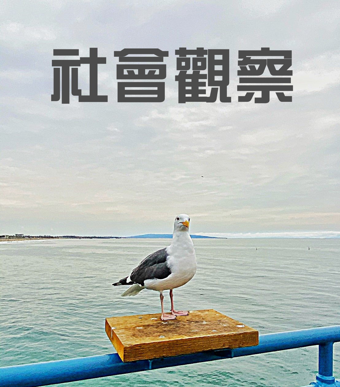 從北捷踢人事件談優先席的意義與存廢