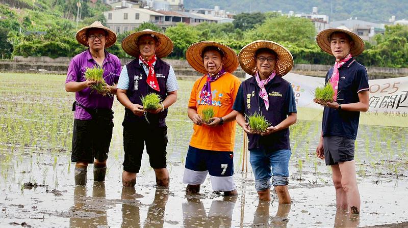 彩稻不是染的! 「2025攜手稻關西」插秧啟動 9月迎生活畫布