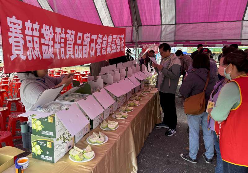 高市燕巢區農會番石榴及蜜棗品質評鑑競賽 評選分組前三名、優勝