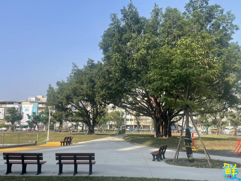 三民區正義公園全面升級 化身城市中的多功能滯洪綠地