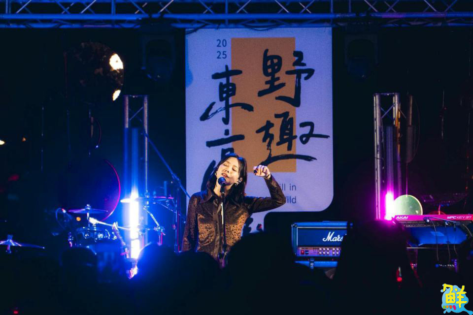 「野趣東高雄」六龜場落幕 金曲歌手開唱帶動在地觀光 12/6杉林場接棒