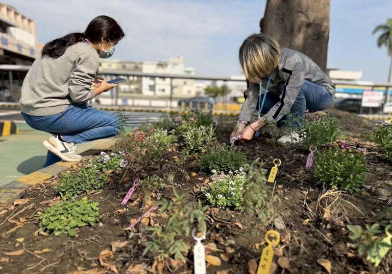 交通部高雄區監理所為期三天預約早苗快閃活動 提前達標種百棵樹苗