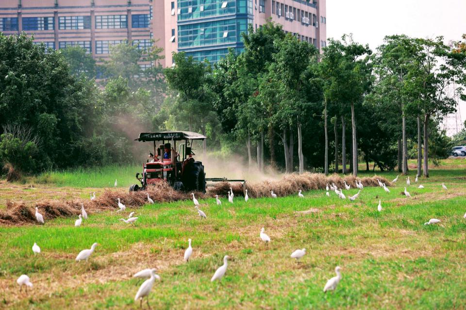 高大2025世界綠色大學排名躍升第154進步124 名 入榜全球前10%刷新紀錄