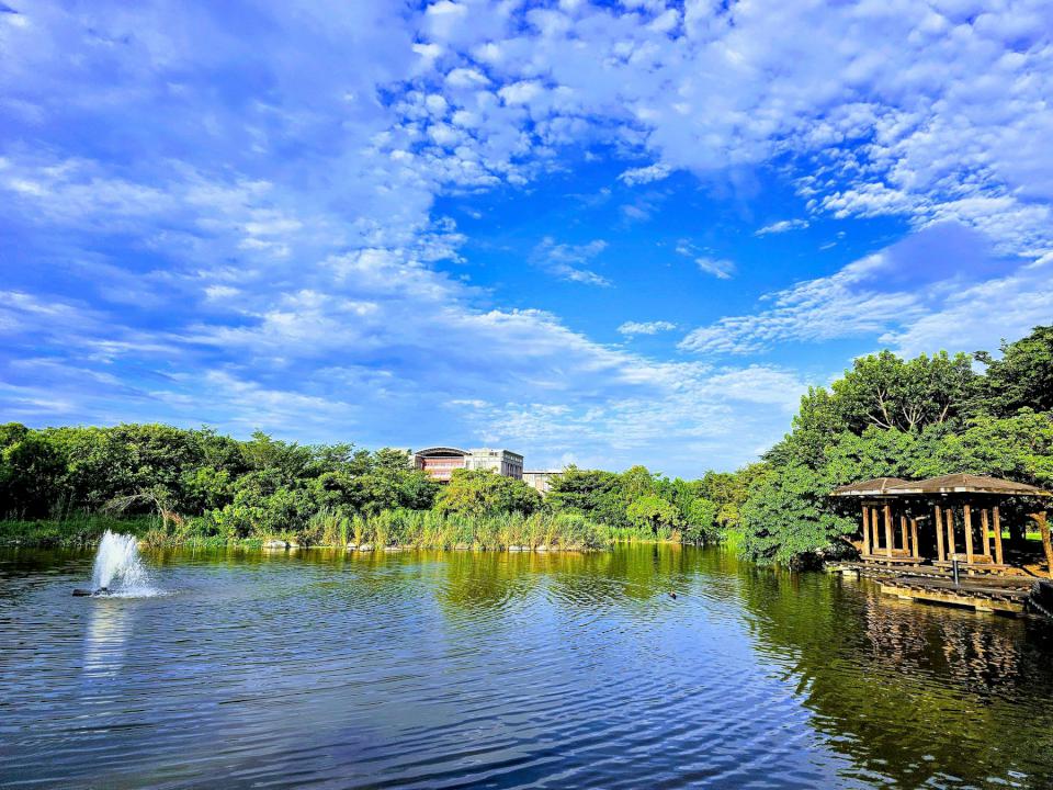 高大2025世界綠色大學排名躍升第154進步124 名 入榜全球前10%刷新紀錄