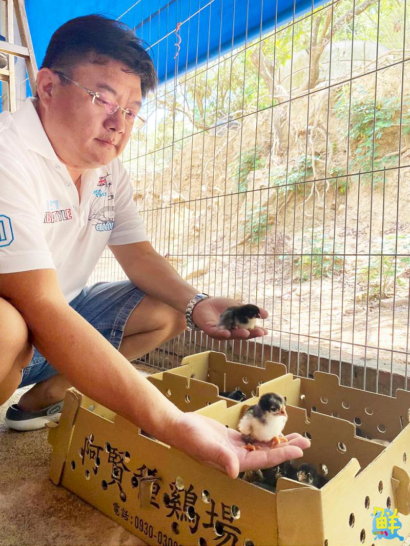雞界LV底加！優多雞肉舖 全台唯一黑錦雞專賣  職人品質安心有保障