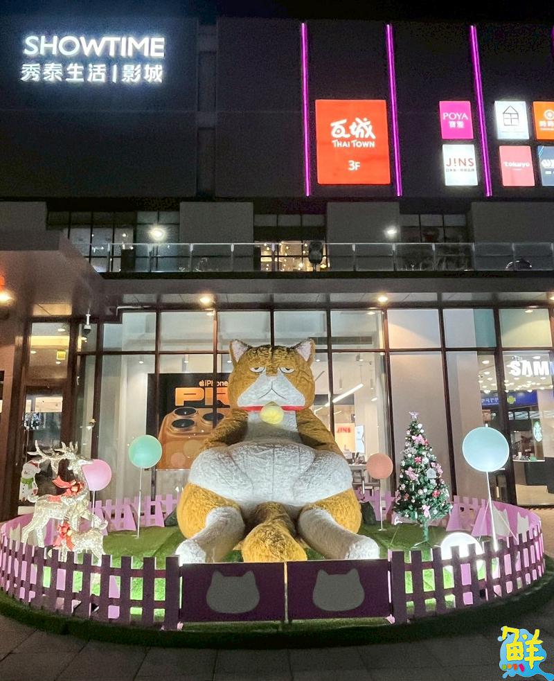 貓奴必衝!人氣IP「橘貓重重」於高雄岡山樂購廣場重磅登場!