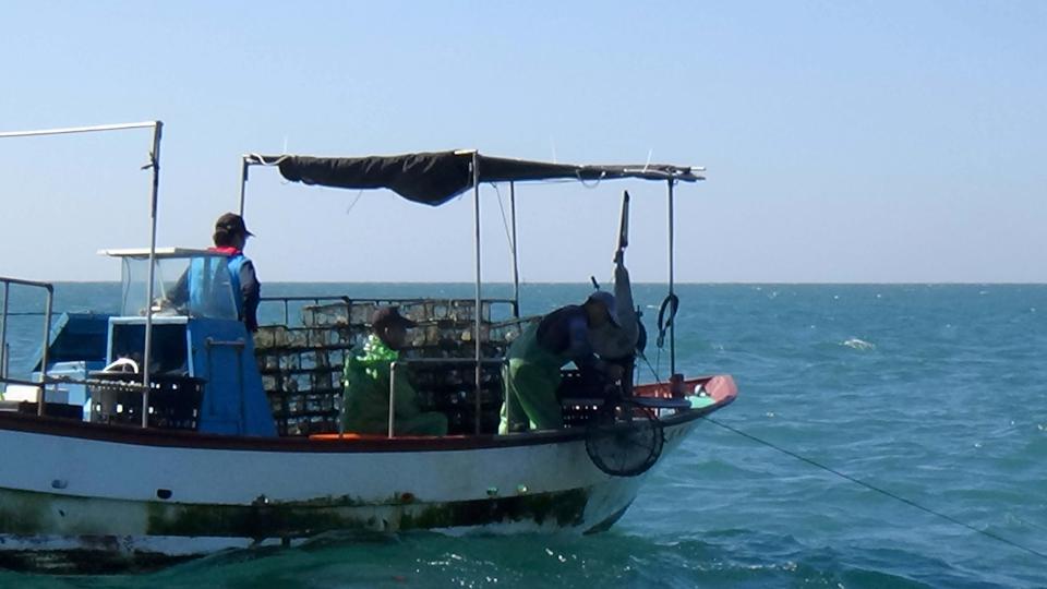 高市海洋局會同海巡署稽查沿岸漁船違法使用籠具 展執法決心