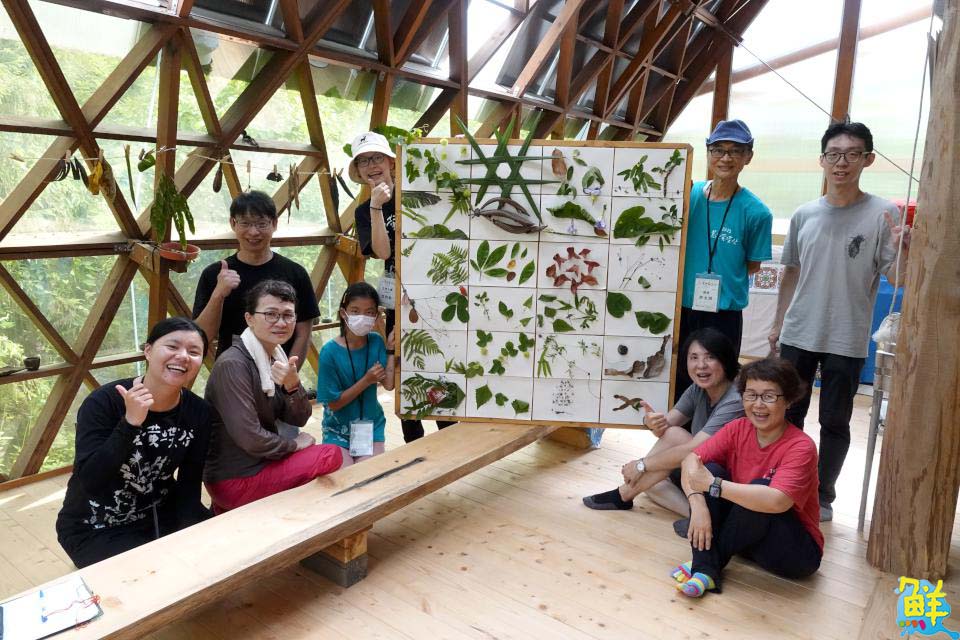 黃蝶三十・立  第25屆美濃黃蝶祭 邀大眾一起守護自然