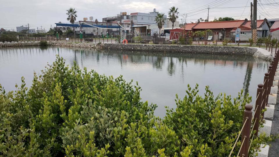 海保署前進高雄主海邊新手村 發表閒置魚塭轉型復育藍碳海草床紅樹林成果