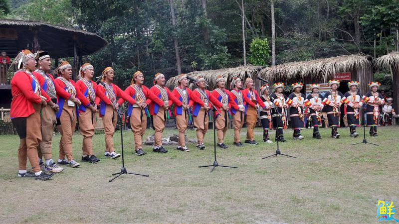 卡那卡那富族米貢祭登場 族人齊心自主籌辦 展現深厚文化力量