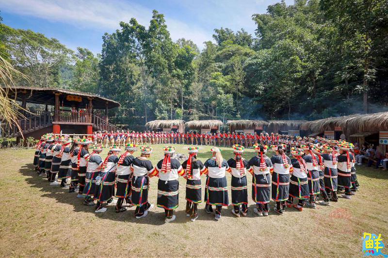 卡那卡那富族米貢祭登場 族人齊心自主籌辦 展現深厚文化力量