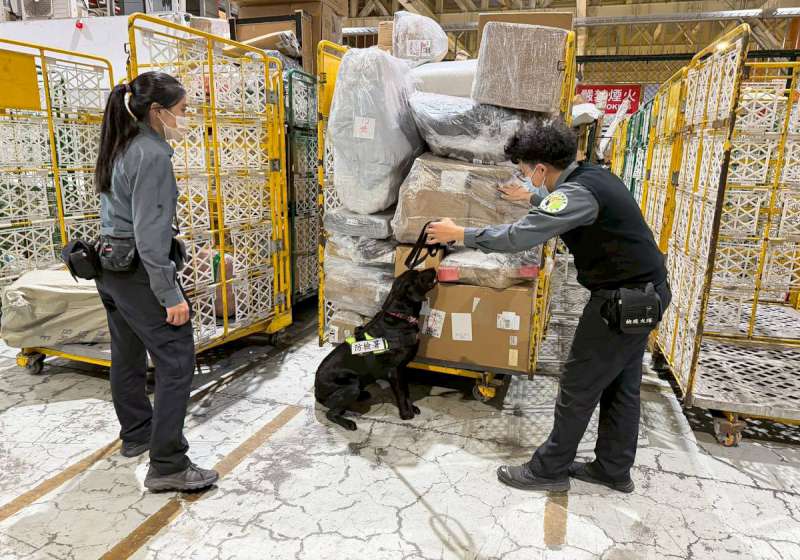 高雄關加強攔檢海運快遞貨物依法裁處 落實邊境防疫 