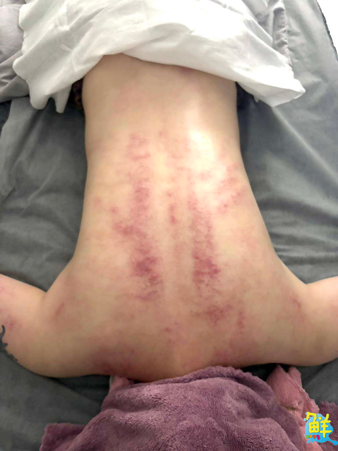 鳳山中崙美麗基地 誼比時尚美學讓您天天都亮眼