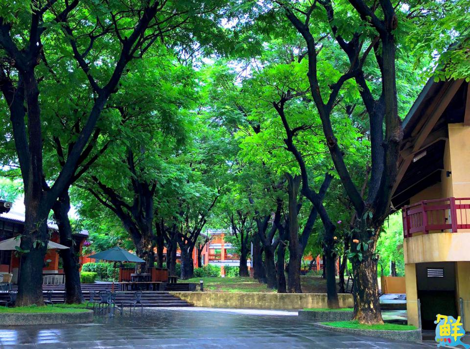 「2025客畫入微．親子共畫」11/15登場 高客委與高客基共邀親子共同揮灑創意